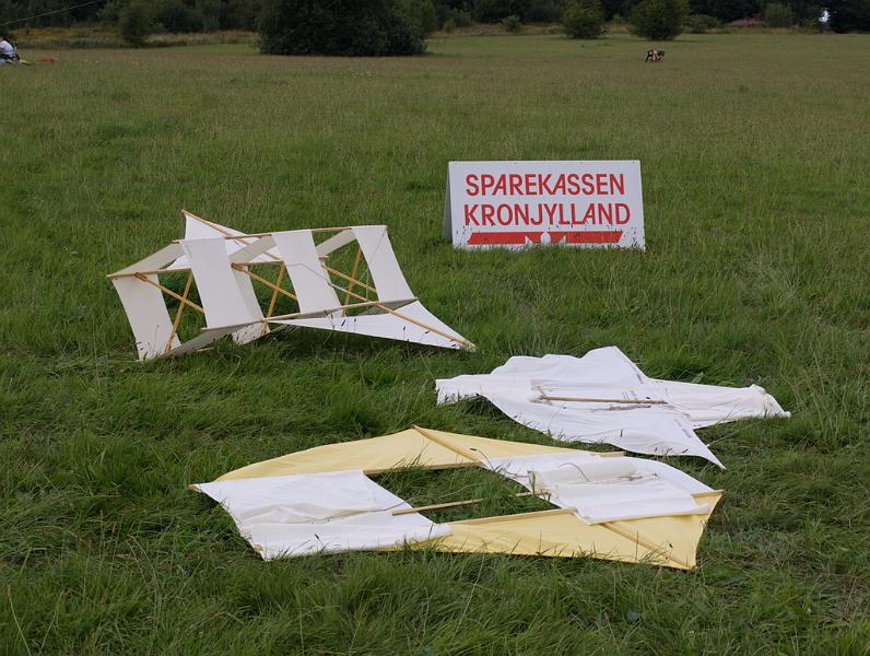 Randers 2008 016.jpg